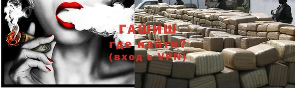 гашик Козловка