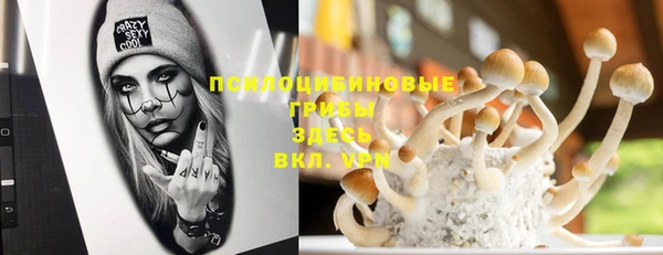 гашик Козловка