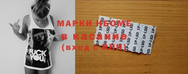гашик Козловка