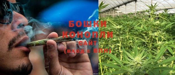 PSILOCYBIN Карталы