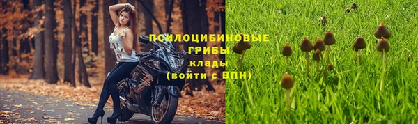 гашик Козловка