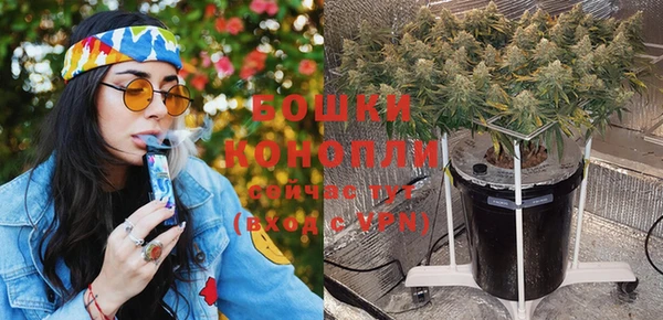 гашик Козловка