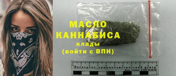 гашик Козловка