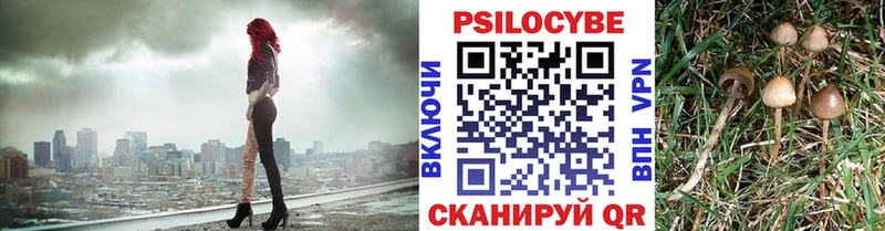 Галлюциногенные грибы прущие грибы  где можно купить наркотик  Кинешма 